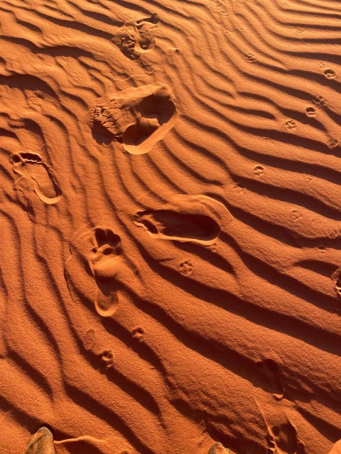 Wadi Rum Silk Road Camp Екстер'єр фото