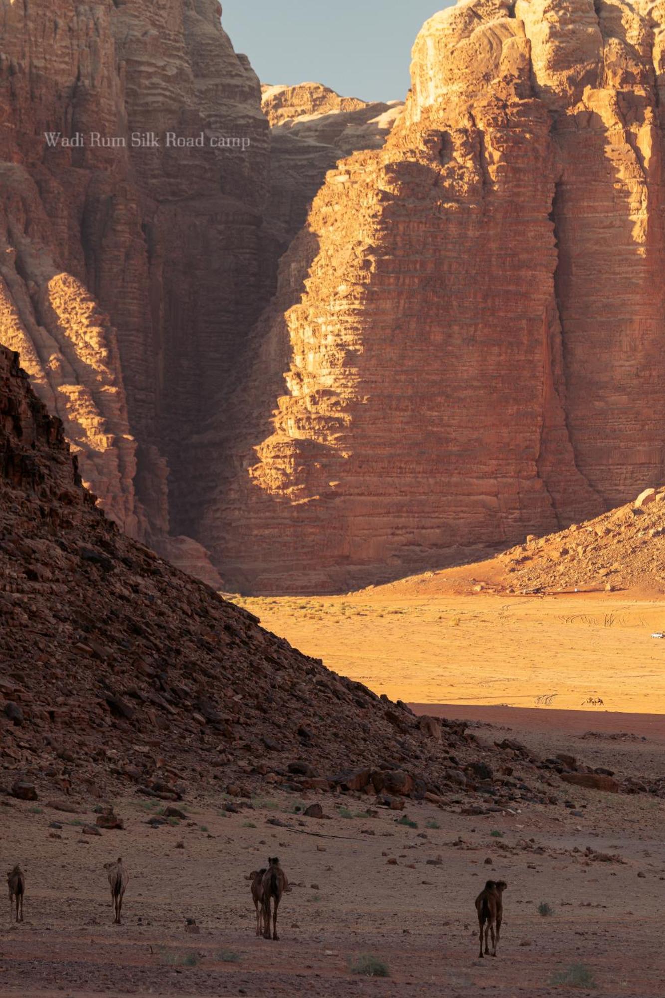Wadi Rum Silk Road Camp Екстер'єр фото
