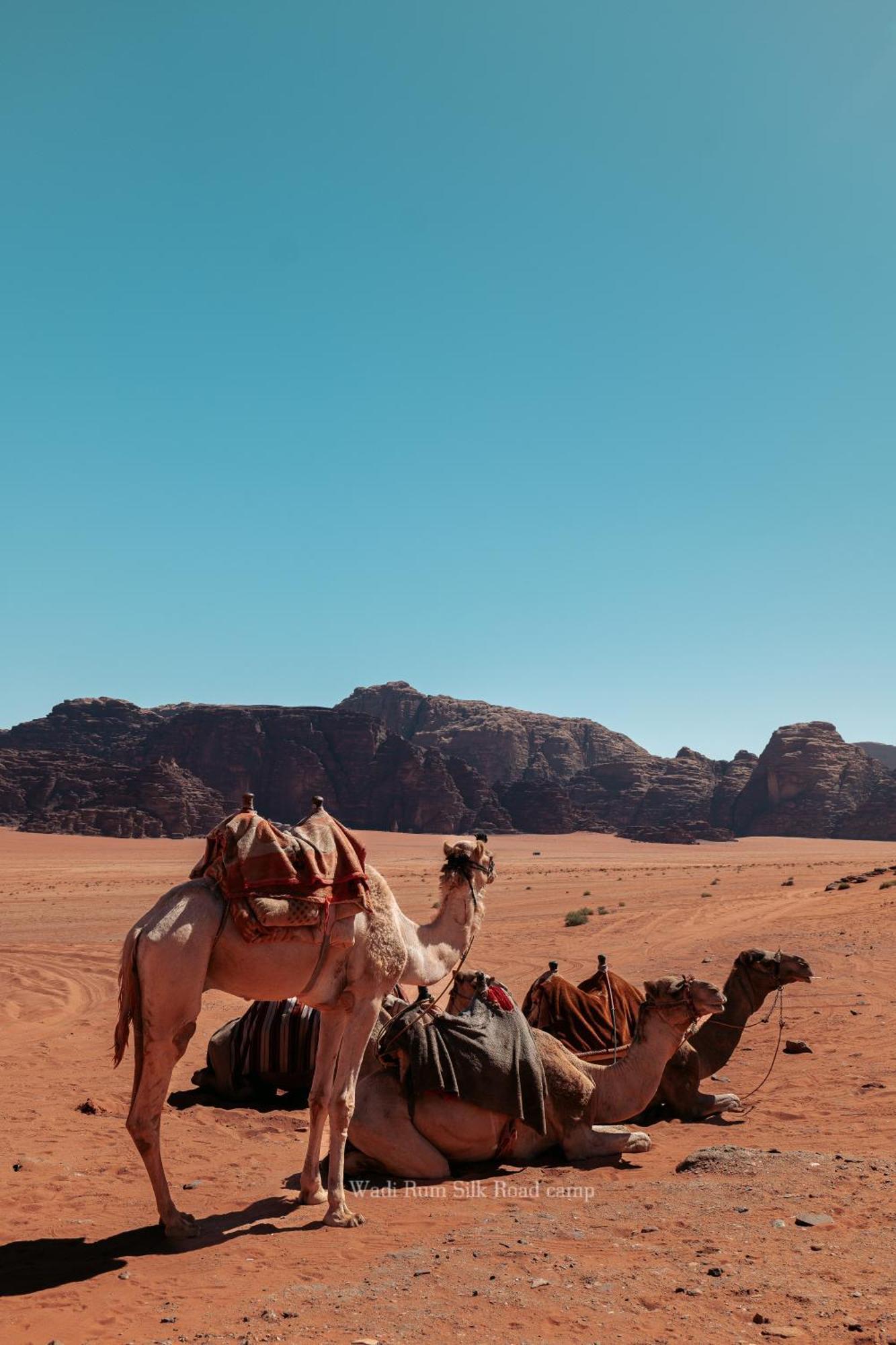 Wadi Rum Silk Road Camp Екстер'єр фото